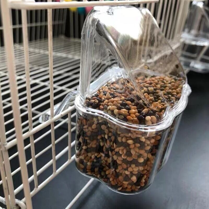 Papegoja fågel genomskinlig plast mat kopp skål företag rent vatten silo vattenlåda fågel tillbehör för parakiter kanarie