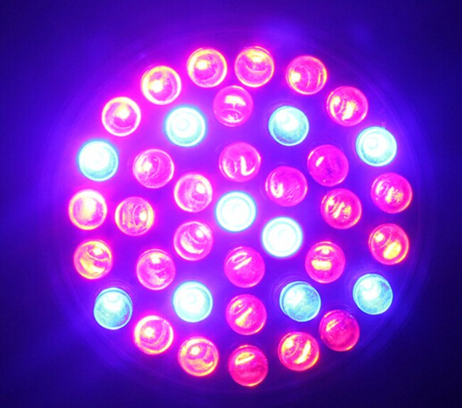 Ultra Bright UV Ultraviolet Color Purple Light 38 LED Lamp Bulb 110v/220V