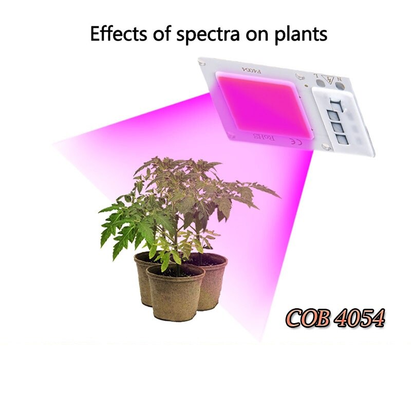 10w/20w/30w led vokset lys fuldspektret ledet cob chip plante blomst vegetabilsk plantning indendørs drivhus hydroponics
