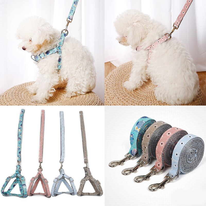 Arnés para perro o gato ajustable, correa de chaleco, Collar para cachorro, Outdoor para perros pequeños, caminar para cachorro, perro pequeño de raza Chihuahua