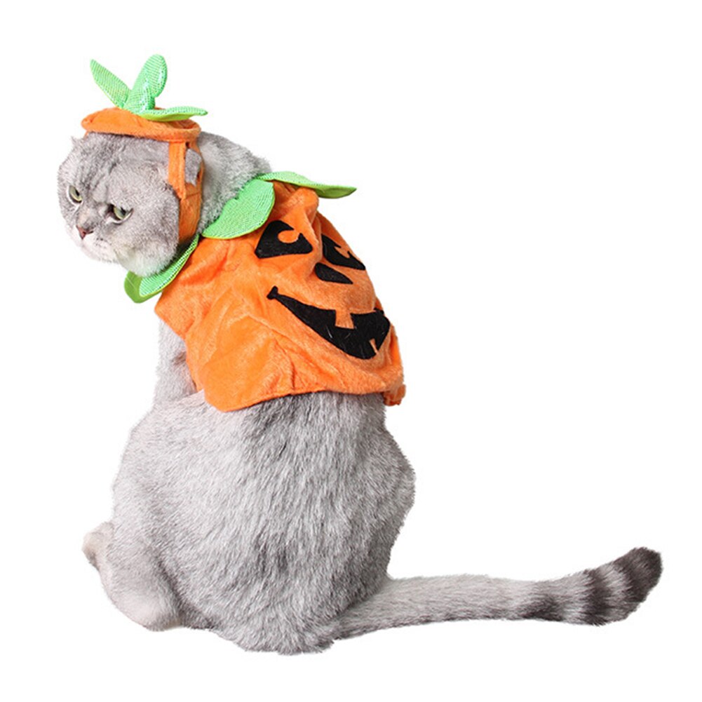 Halloween Party Pet Pompoen Kostuum Voor Honden Katten Kleding Voor Kleine Honden Jassen Jassen Grappig Dressing Cosplay