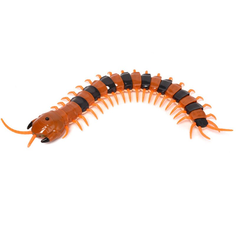 Haute Simulation Animal Scorpion télécommande infrarouge enfants jouet jouets éducatifs pour enfants enfants C3: Default Title