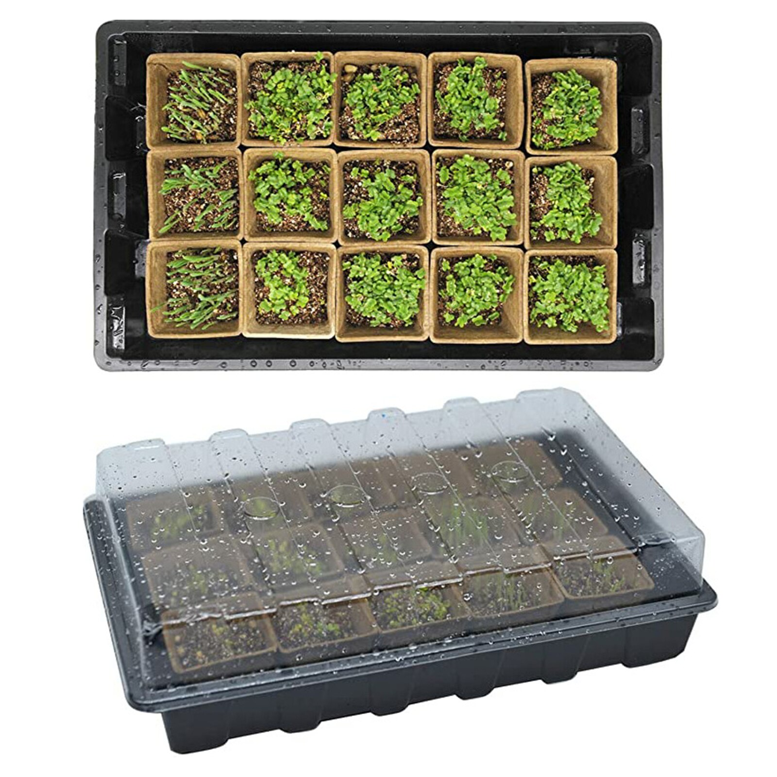 Seedling Tray Set with Transparent Lid Plant Germination Healthy Plastic Accessory: Default Title