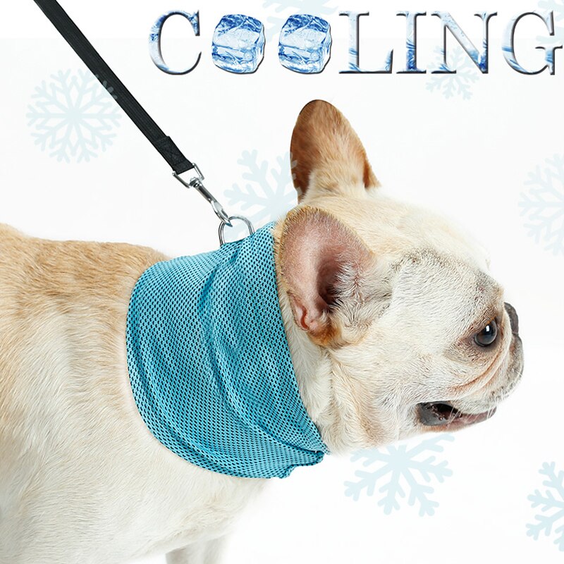 Cooling Hond Kraag Ijs Sjaal Comfortabele Halsband Voor Kleine Honden Bulldog Hond Zomer Zonnesteek Cooling Neck Wrap Dierbenodigdheden