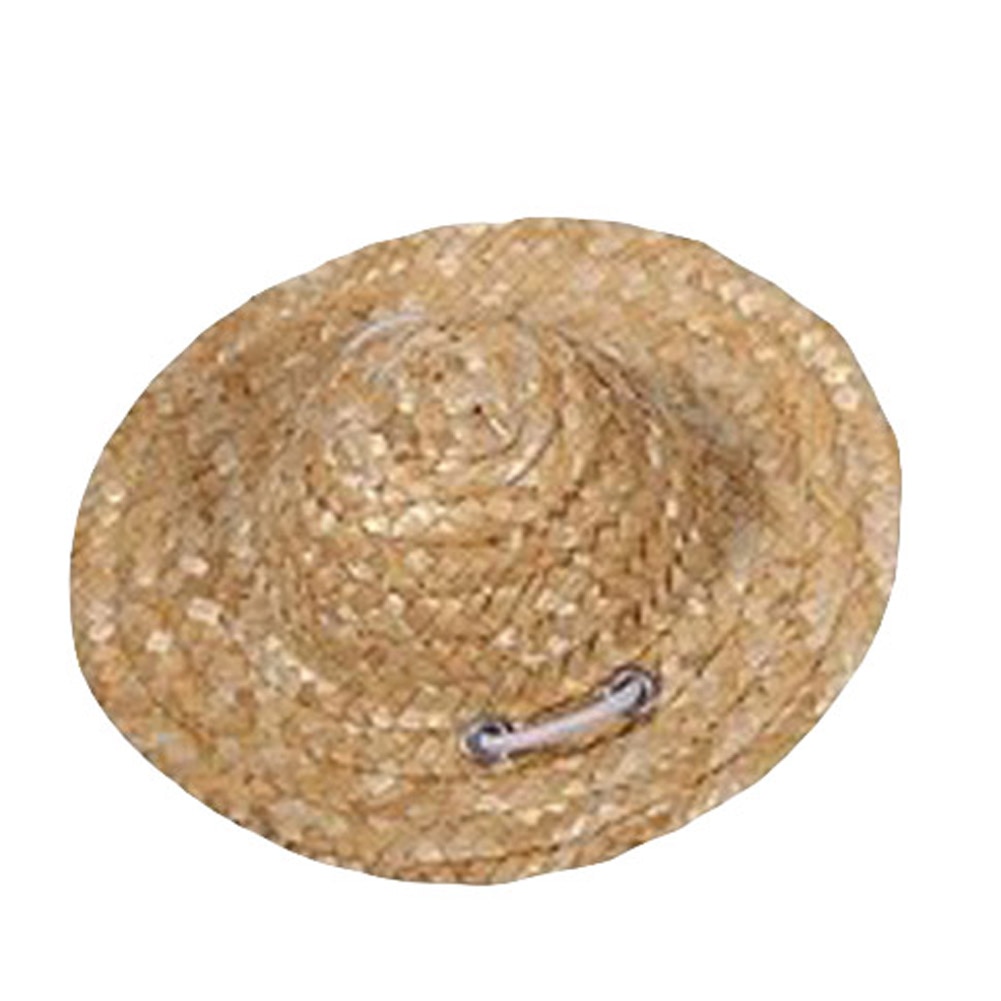 Chapeau de paille d'été 1 pièce | Animal domestique, chat Cool chapeau de paille, chapeaux soleil, fournitures pour chiots, accessoires pour animaux de compagnie, Style hawaïen, accessoires pour chiens chats, casquettes