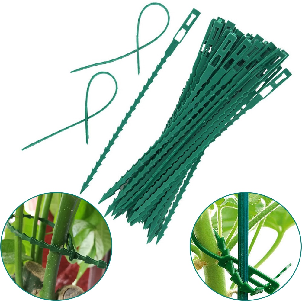50/30PCS Plastic Plant Cable Ties Reusable Ties Garden Tree Climbing Growing Support Adjustable Fishbone Spur Tie Garden Tools