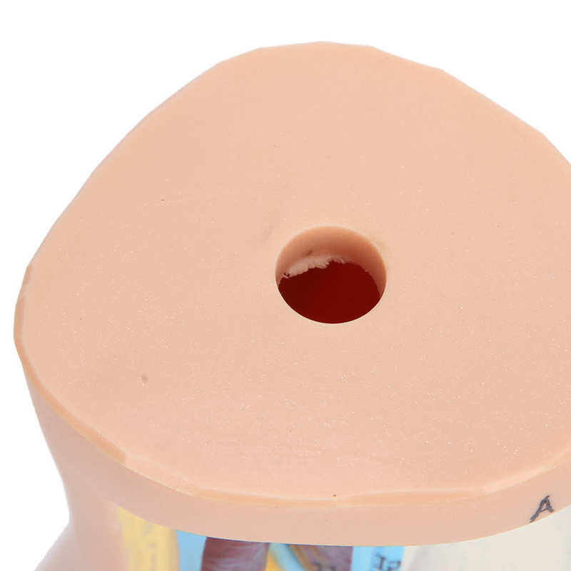 Foot Model Human Foot Palm Muscle Model Arch Foot Anatomy Model Teaching Research Foot Anatomical Structure Display Accessories