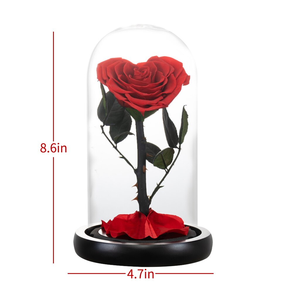 AINYROSE Heart Shaped Preserved Rose Beauty and The Beast Eternal Rose Wedding Artificial Flowers Valentine Christmas