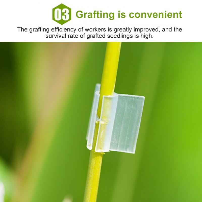 Tuin Plant Enten Clip Tomaat Horticultural Bloem Zaailing Plastic Enten Clip Zaailing Enten Kaart Tuingereedschap