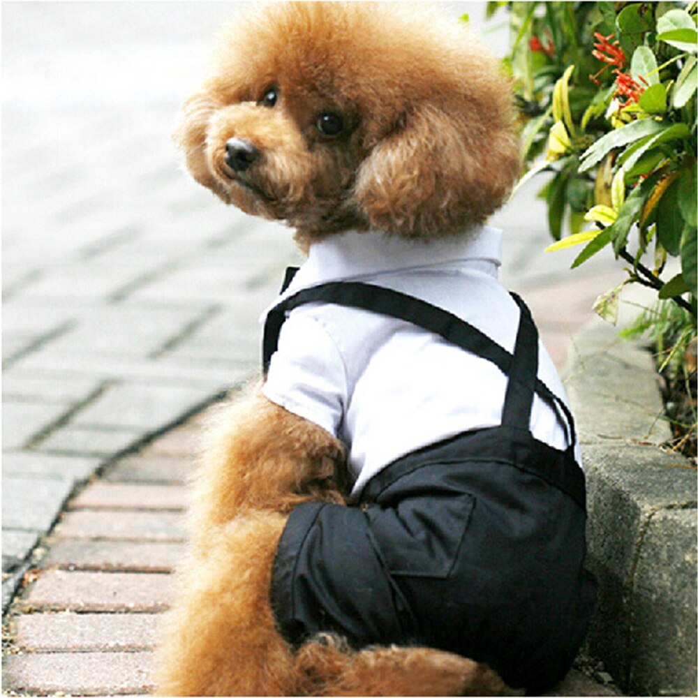 Perro cachorro de peluche caniche Chihuahua abrigo guapo mascotas traje de perro ropa de boda mascota esmoquin del príncipe pajarita Mono para cachorro