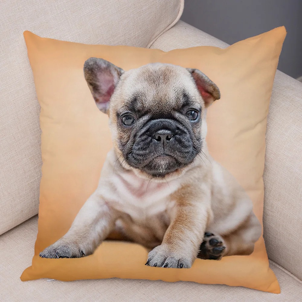 Cute Pug Dog Cushion Cover Both Sided Print Decor Pet Animal Pillowcase for Car Sofa Home Car Soft Plush Throw Pillow Case: 470*1500mm / Light Grey