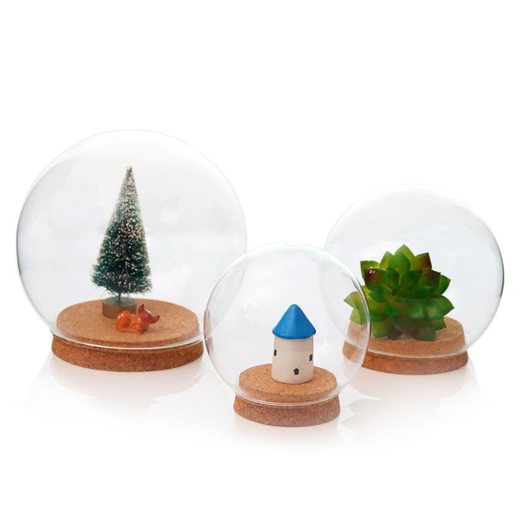 Vidro claro cloche globo display dome com base de madeira secas vaso de flores fada
