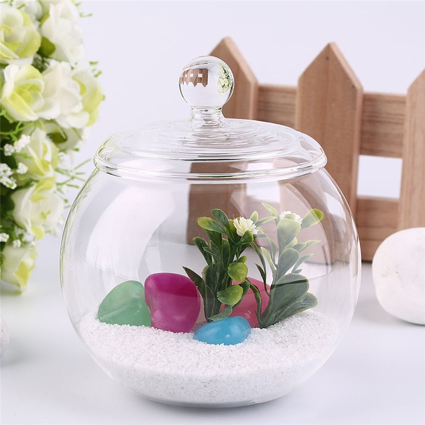 1 Set Diameter 10 Cm Transparent Micro Meaty Bryophytes Landscape Glass Vase Bottle With Cover Home Wedding Decor Craft