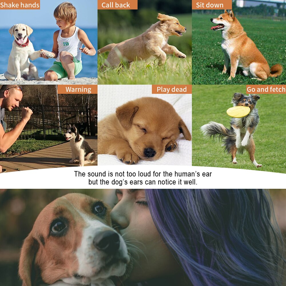 1/2pcs Puppy Pet Dog Whistle Two-tone Ultrasonic Flute Stop Barking Ultrasonic Sound Dog Training Whistle Dog Repeller Toy