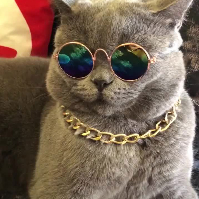 Pet Glasses Lovely Vintage Round Cat Sunglasses Reflection Eye Wear Glasses For Small Dog Cat Pet Photos Props Accessories