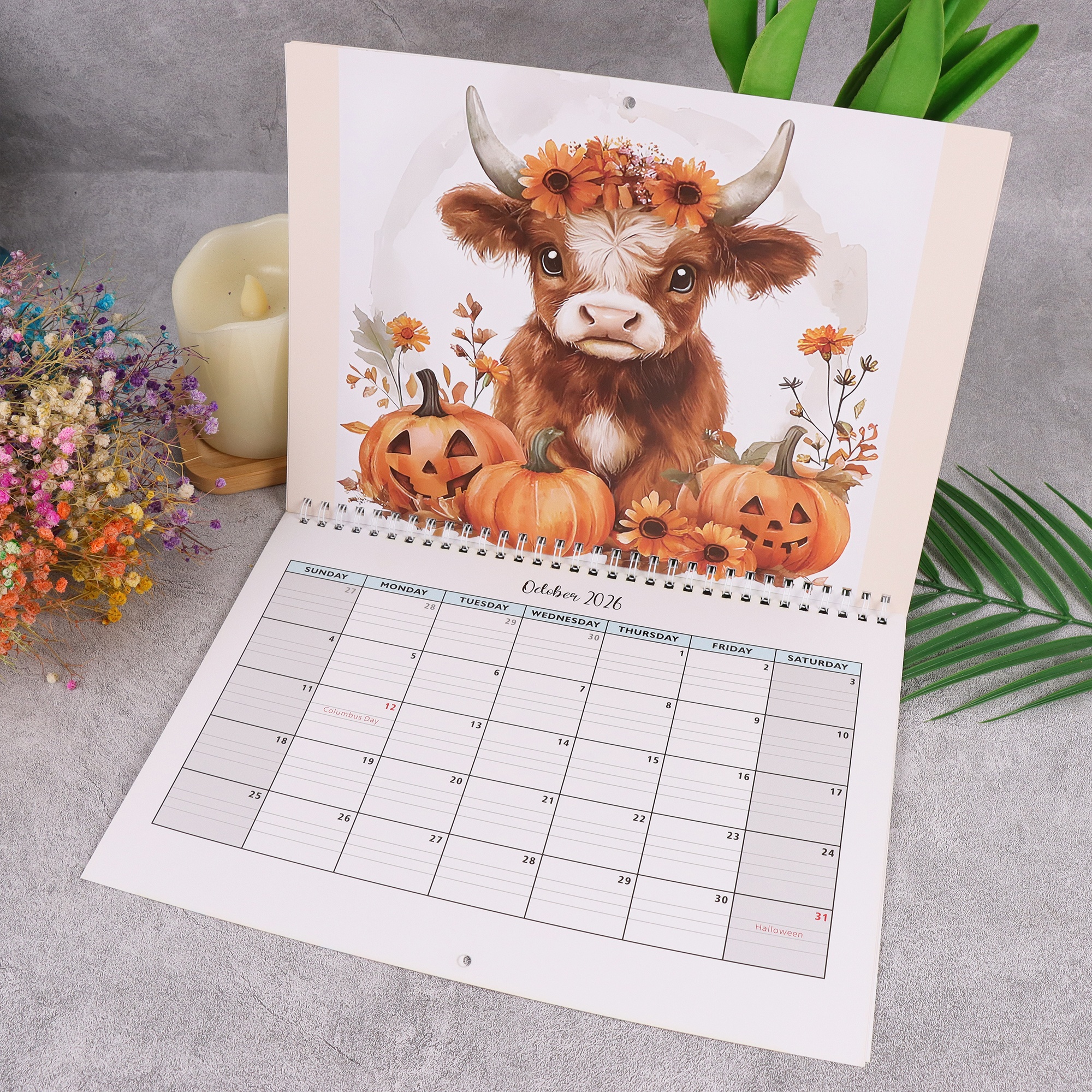 Highland Cow Wall Calendar - Scottish Cattle Daily Planner, Yearly Schedule & Month Notebook for Home Office Decor