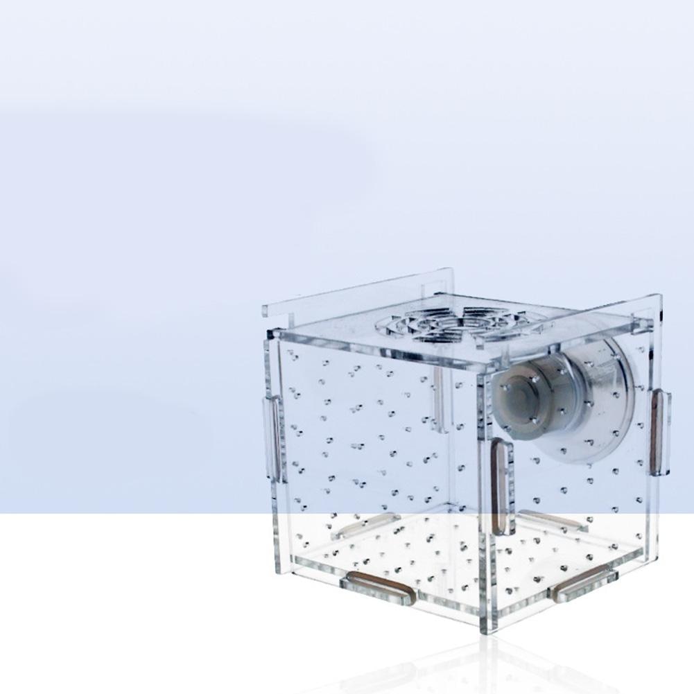 Single Grid Breeding Box Incubator Isolation Hairtail Nursery House Aquarium Accessaries