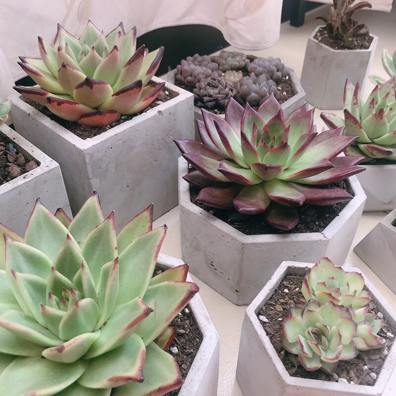 Concrete Molds Concrete Art Planter Pot Molds Silicone Flower Pot Molds Polygon Pot Molds