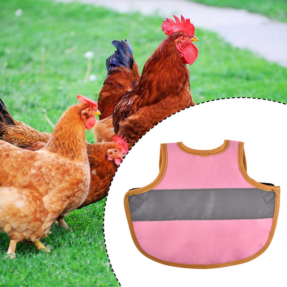 Ropa de Mascota para aves de corral, delantal de sillín, soporte de protección de plumas para pollo y pato,