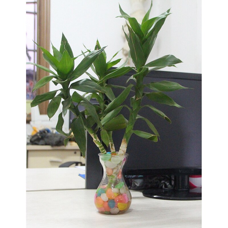 100 stk hage glød i mørk dekor lysende dekorative steiner småstein utendørs akvarium dekorasjon steiner akvarium blanding farge