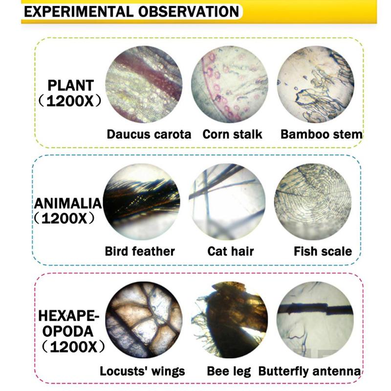Mikroskop kit lab 100x 200x 450x hjemmeskole naturvidenskab pædagogisk legetøj raffineret biologisk mikroskop legetøj til børn studie