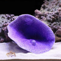 Instant Reef Artificial Coral Inserts, Fake Coral Reef Decorations