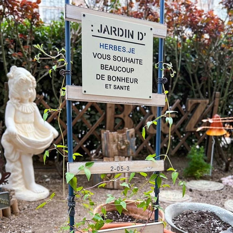 Support en bois et rotin pour plantes grimpantes, échelle décorative pour fleurs de balcon, présentoir de jardin naturel, T1