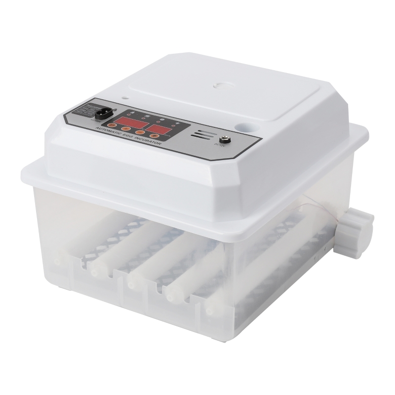 Incubator voor kippeneieren, automatische ei-hatching-incubator, 4-6 mini- eieren en gevogelte hatcher met temperatuurregelaar-vochtigheidsweergave voor het hatchen van kwalen-eendenvoeieren