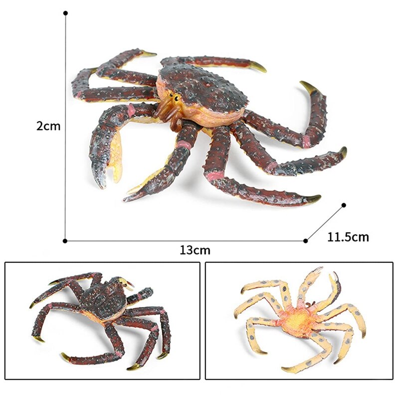 FOMIYES Simulatie Krab Onder De Zeefiguren Speelgoed Voor Zeedieren Mini Speelgoed Realistische Zeevruchten Oceaandieren Figuren Creatieve Krab Leren Krab Aquarium Kind Pvc Decoraties