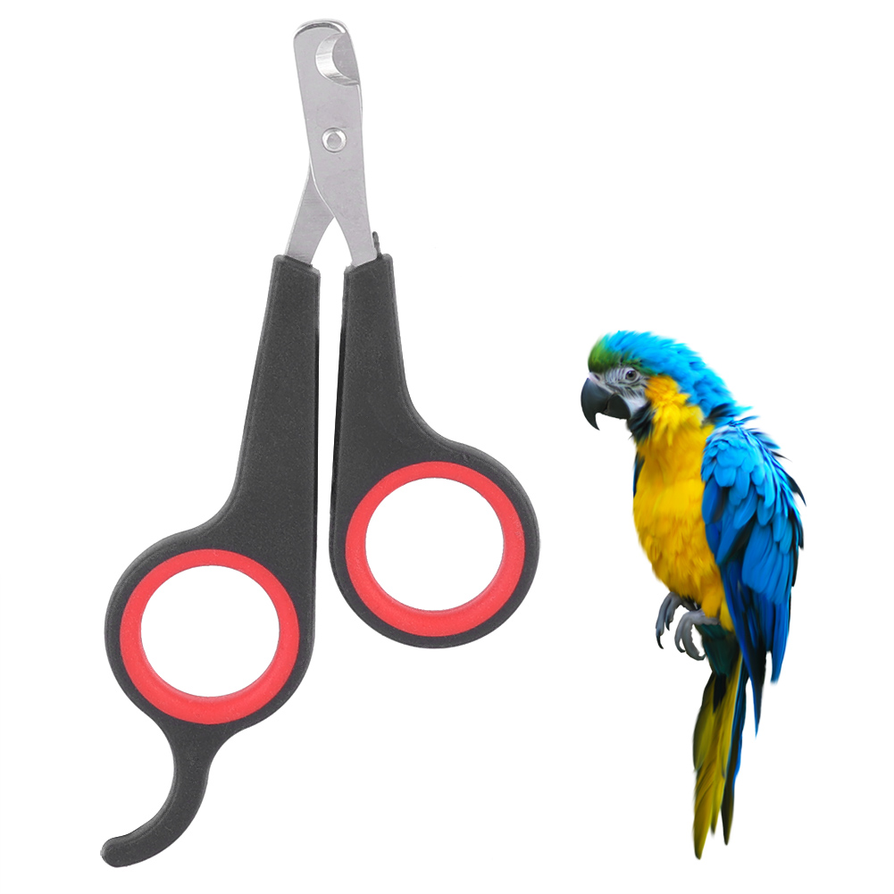 1Pc Bird Nail Clipper Pet Bird Parrot Nail Scissors Pet Claw Nail Clippers Small Animals Grooming Tool Bird Supplies Black + Red