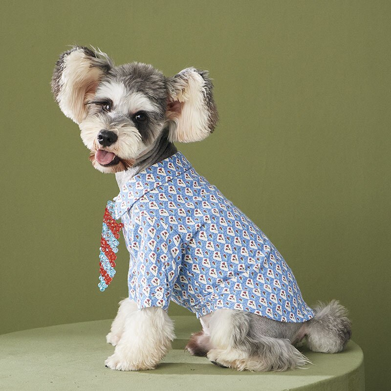 Plush Dog Shirt Spring Autumn Chihuahua York Puppy Clothes Pomeranian Poodle Bichon Teddy Schnauzer Corgi Shiba Lnu