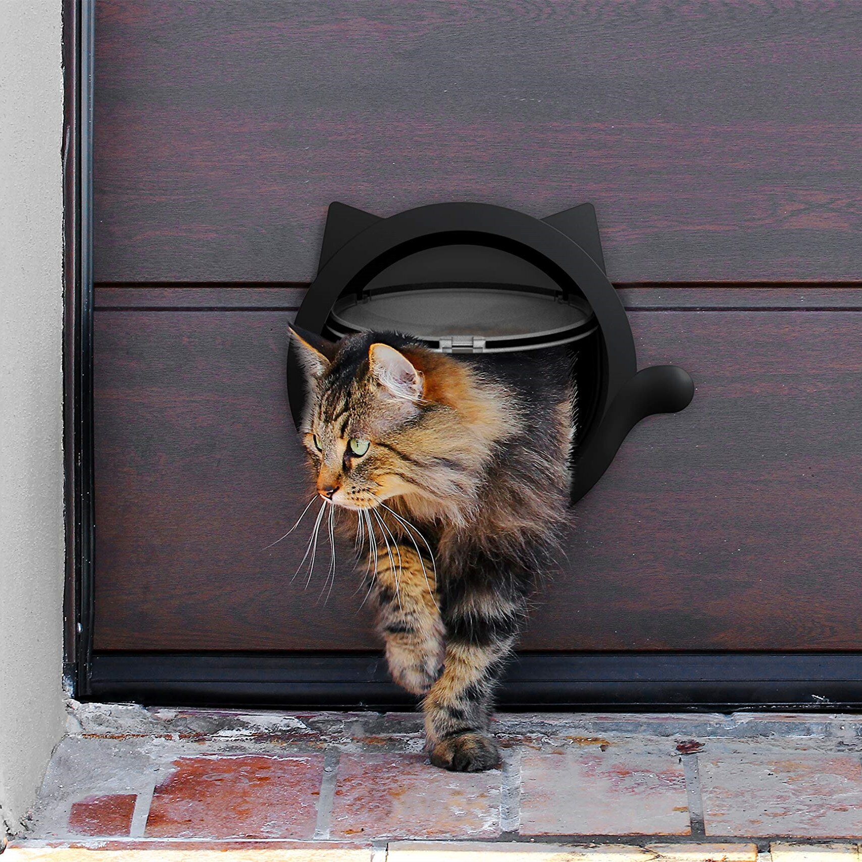 huisdier-kat-deur-voor-interieur-deuren-kleine-hon-grandado