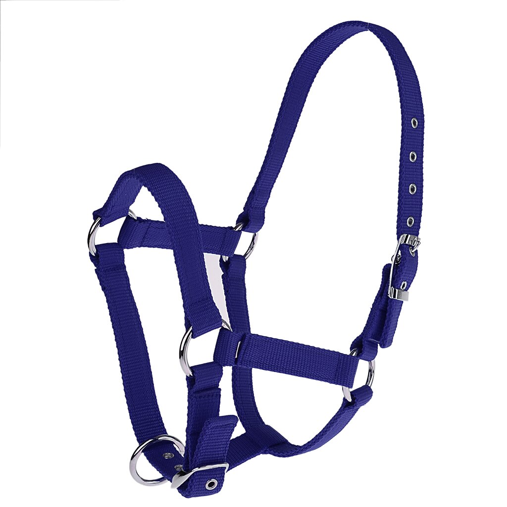 Licol de cheval occidental réglable, sangle en Nylon, 6mm: Blue M