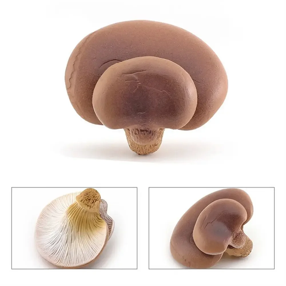 Modelo de vegetais estatuetas de fungos matsutake oyste simulação artificial cogumelo pleurotus planta modelo de fungo decoração de jardim: Marrom