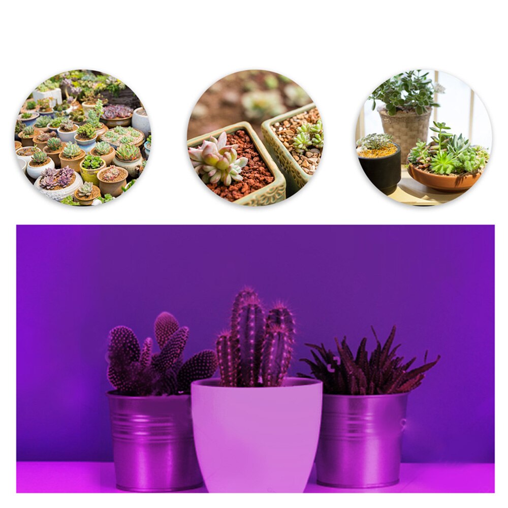 Leadly plantengroeilamp usb led-groeilamp buis volledig spectrum kamerplantenlamp met clip plantengroeilampen zaailingenlamp