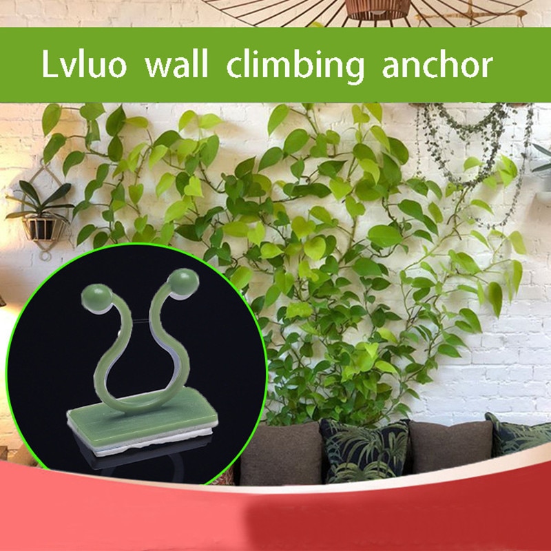 10/1 Pcs Invisible Wall Vines Fixture Plant Climbing Wall Clip Sticky Hook Fixing Clip Holder for Home HG99