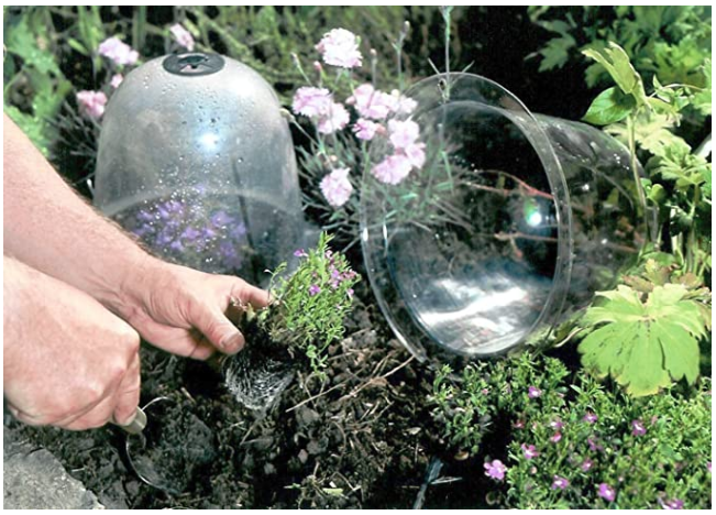 10pcs/set 4.2" GrowAway Small Reusable Plastic Mini Greenhouse Garden Cloche Dome Plant Covers Frost Guard Freeze Protection