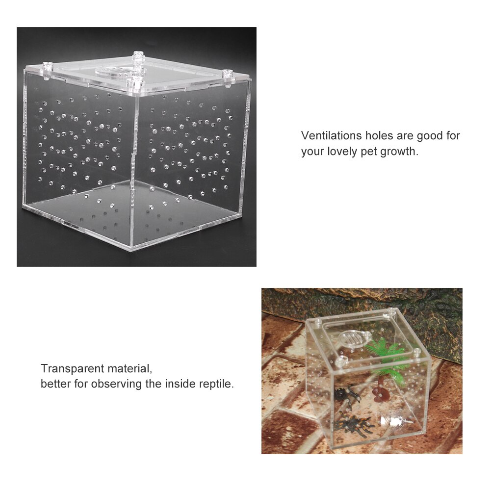 Acryl Spinnen Hagedis Schorpioen Enti 'S Acryl Gemonteerd Reptiel Fokkerij Doos Transparant Insect Terrarium Ademend