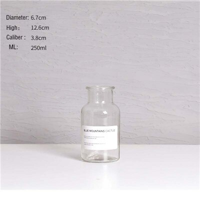 European Decoration Home Glass Vase Flower Vase Flower Arrangement Hydroponic Tabletop Vase for Flower Decoration: Transparent B-250ML