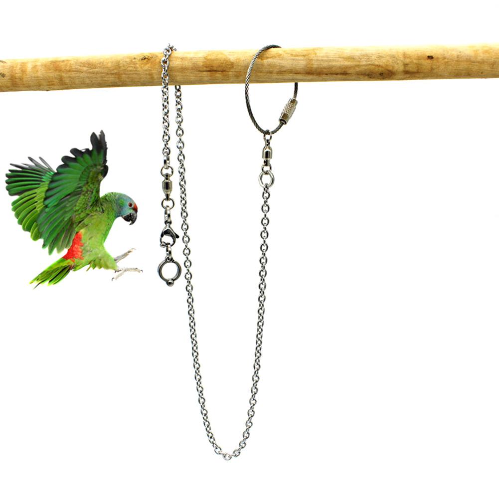 Home Flying Bird Foot Ring Stainless Steel Chain Training Silver Outdoor Ankle Stand Accessories Pet Supplies Parrot Activity
