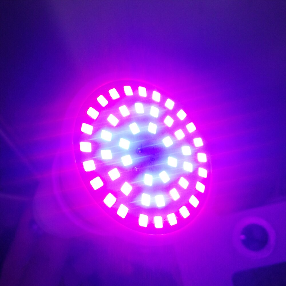 Yabstrip ledet vokse lys rød blå smd 2835 48 lysdioder  e27 pære 220v med lampeholder til innendørs såing veg plante fitolamp phyto lampe
