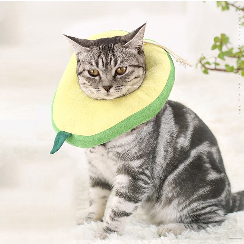 Adjustable Dog Cat Elizabethan Collar Fruit Shape Pet Protective Collar Dog Neck Recovery Anti-Bite Surgery Wound Healing Ring