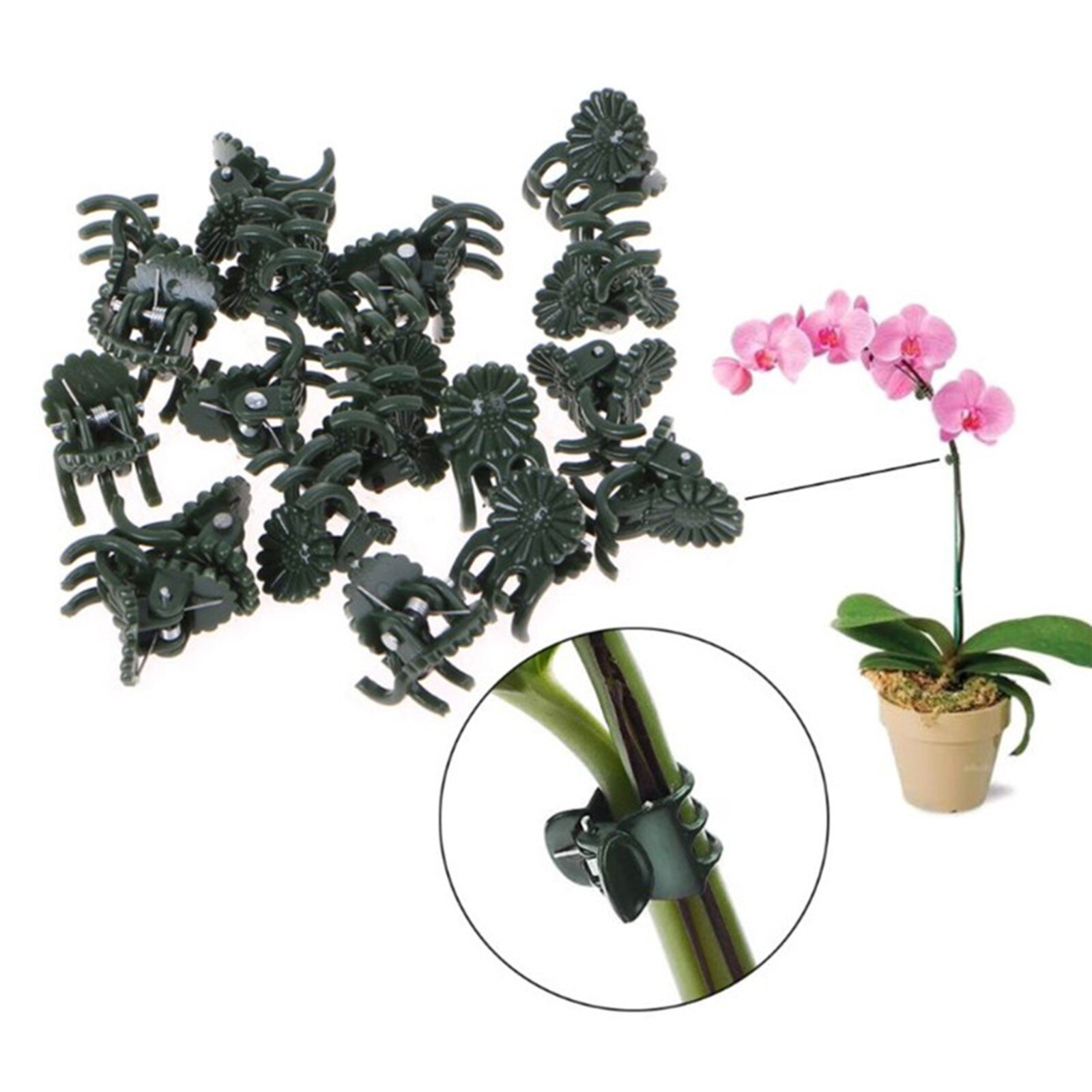 100Pc Plastic Tuin Plant Klemmen Wijnstok Bevestiging Klemmen Tuin Enten Clip # N20