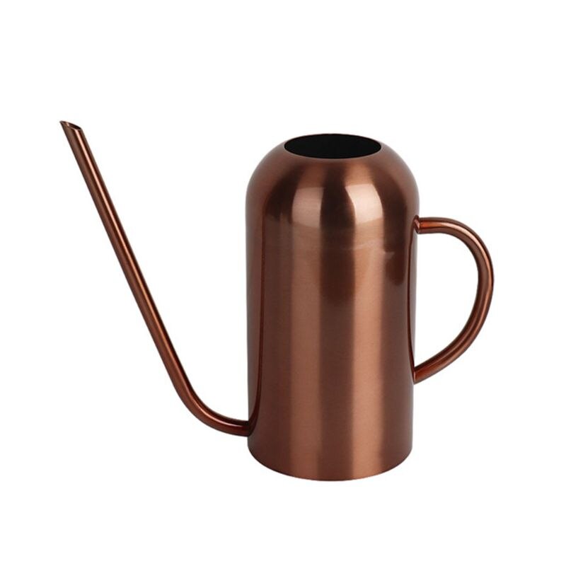 Stainless Steel Watering Can with Long Spout Modern Style Watering Pot,53oz/1.5L 667A: 8YY802135-BN