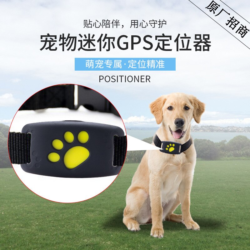 Gps Huisdier Locator Tracker Anti Verloren Mini Huisdier Intelligente Product Kat En Hond Tracker
