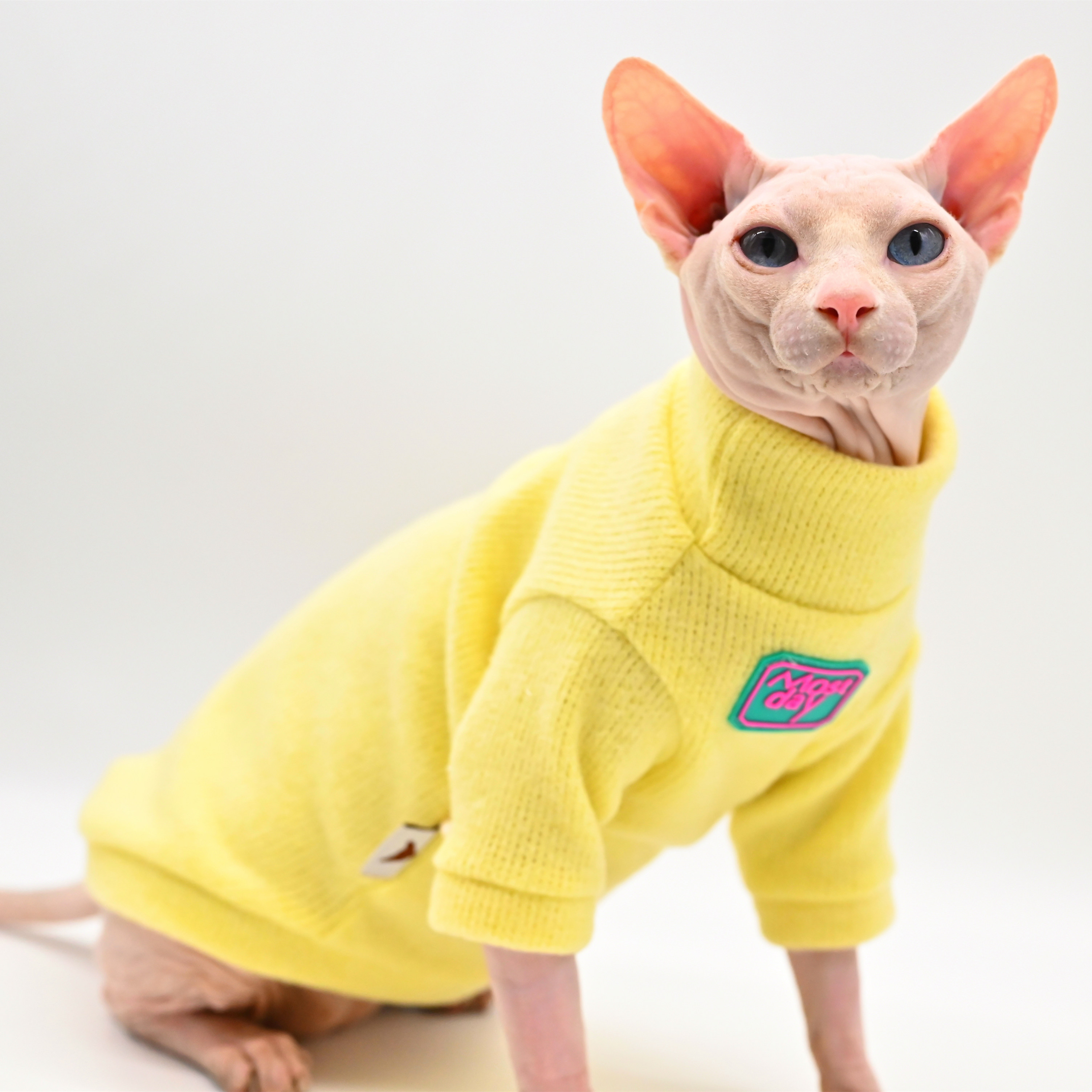 DUOMASUMI Devon Sweater Sphynx Cat Clothes Kitty Soft and Comfort Winter Hairless Cat Clothes