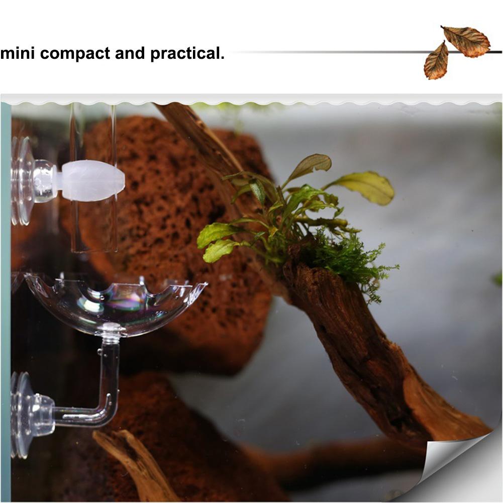 Fish Tank Feeder Aquarium Shrimp Acrylic Feeding Bowl Flower Shape Floating Feeding Cup Holder With Sucker Fish Food Aquarium