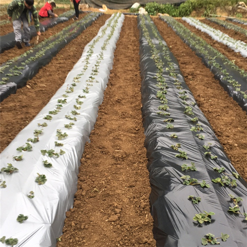 Multímetro de plástico negro y plateado para agricultura, 0,02mm de ancho, 1M, para invernadero, Control orgánico del calor, película de tierra, novedad
