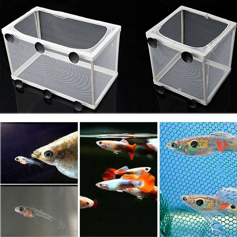 Material Fish Tank Tropical Fish Small Fish Isolation Box Incubation Tank Breeding Box Fish Net