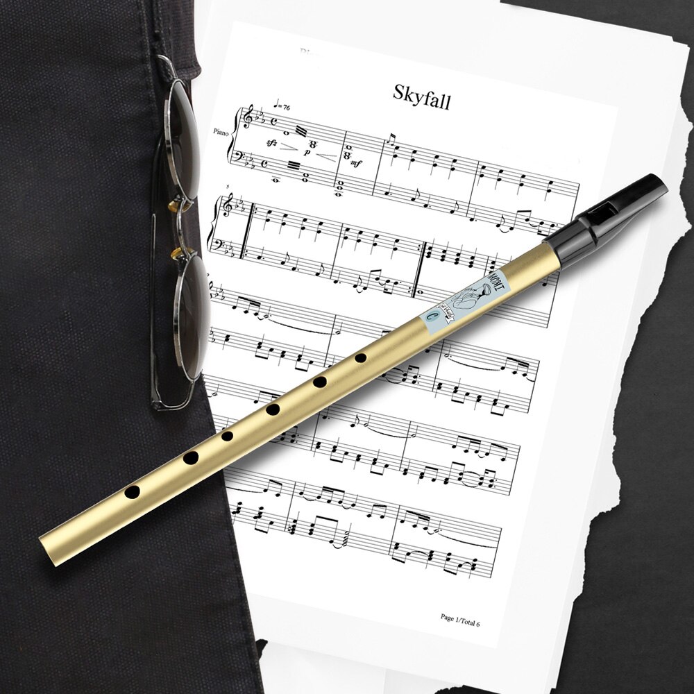 NAOMI 6 Holes Tin Whistle Traditional Irish Penny Whistle Brass Material Musical Instrument for Beginners, Key of C